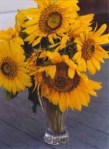 sunflowersinavase